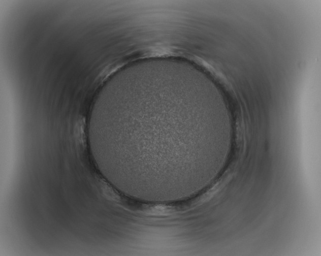 X0000116121265200911231208