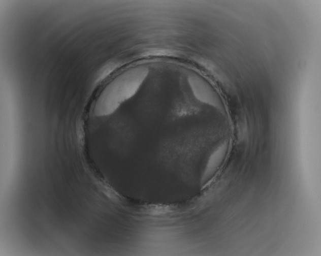 X0000116121266200911231208