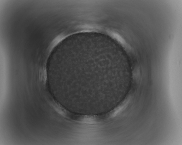 X0000116121267200911231208