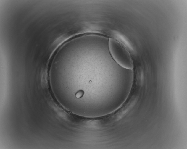 X0000116121268200911231208