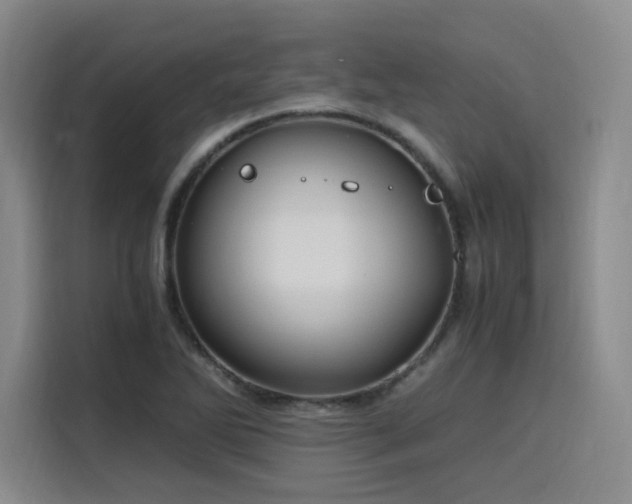 X0000116121270200911231208