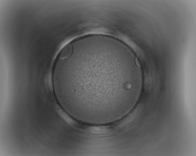 X0000116121272200911231208