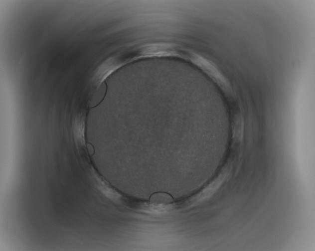 X0000116121273200911231208