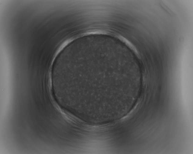 X0000116121274200911231208