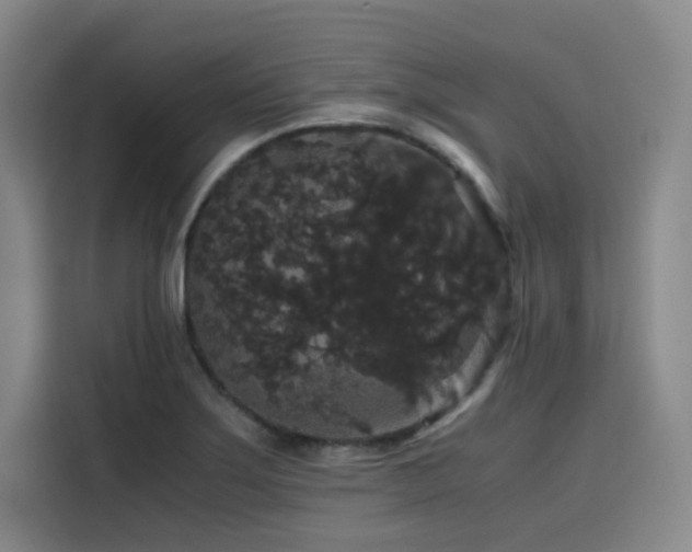 X0000116121275200911231208