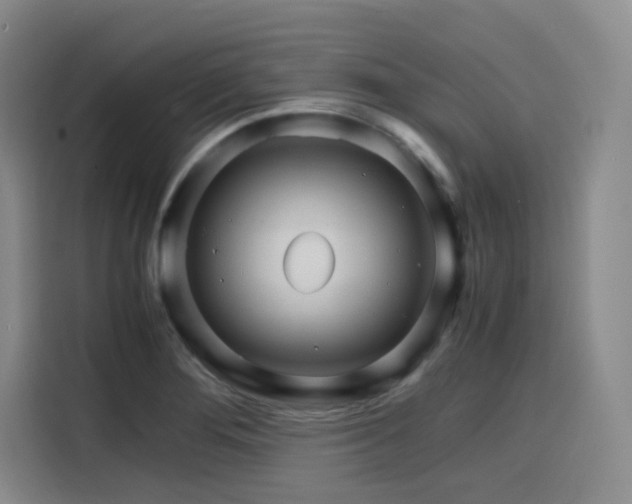 X0000116121276200911231208