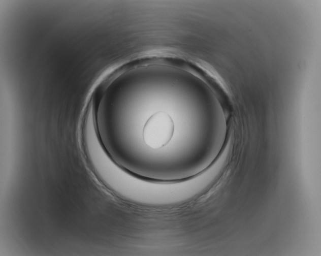 X0000116121277200911231208