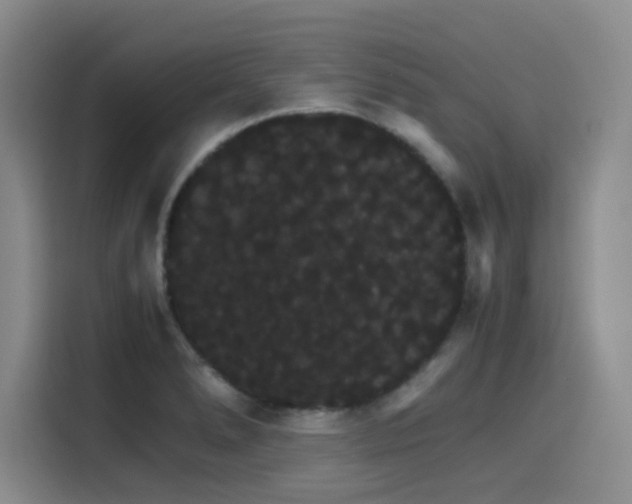 X0000116121278200911231208