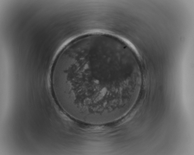 X0000116121279200911231208