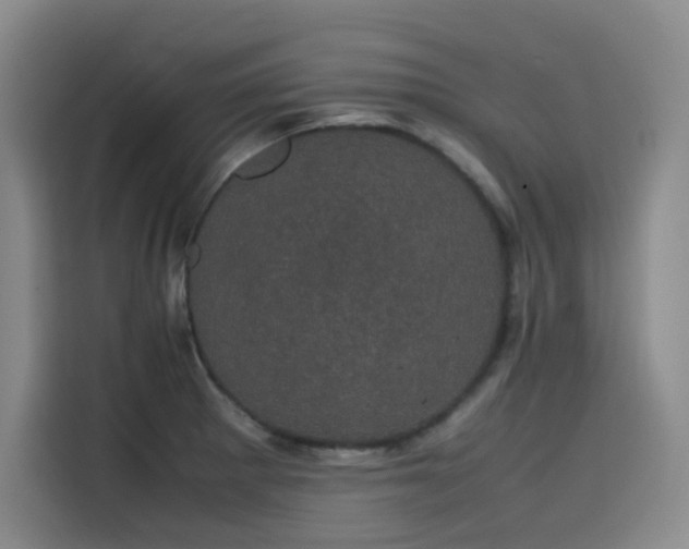 X0000116121281200911231208