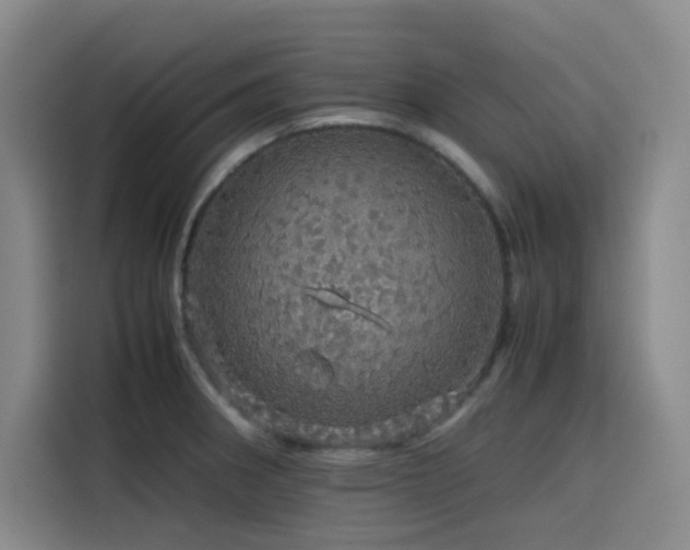 X0000116121282200911231208