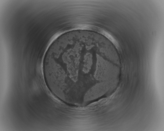 X0000116121283200911231208