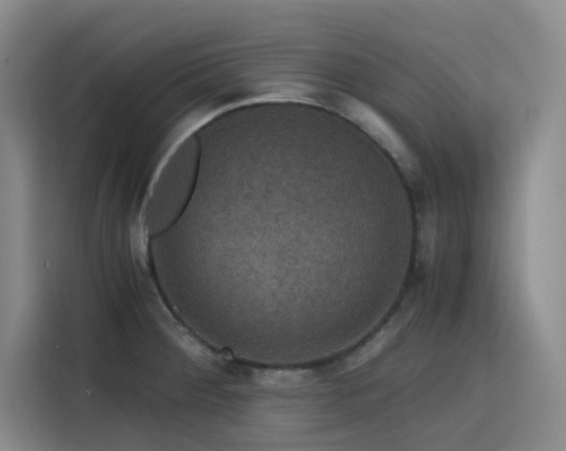 X0000116121284200911231208