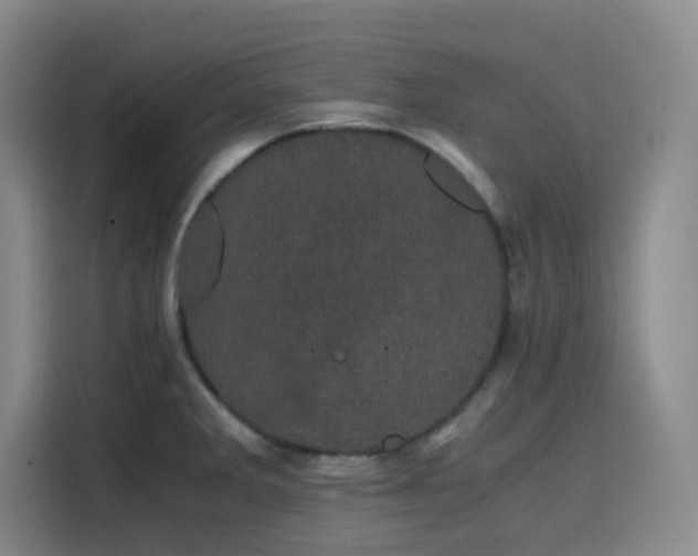 X0000116121285200911231208