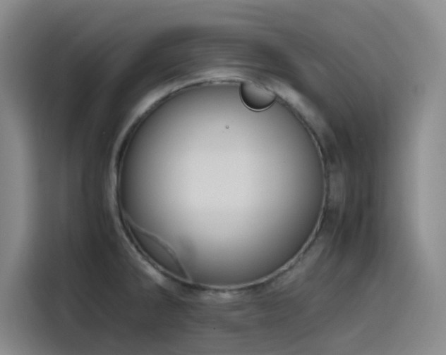 X0000116121286200911231208