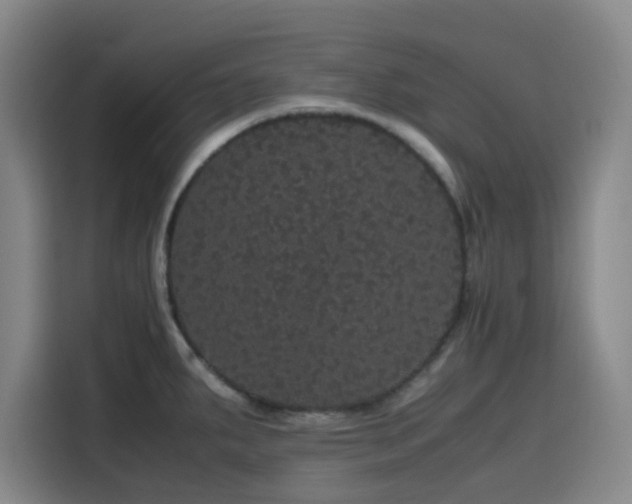 X0000116121287200911231208