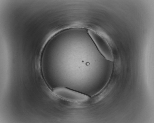 X0000116121288200911231208