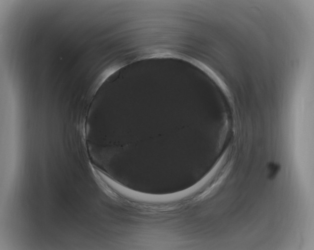 X0000116121289200911231208