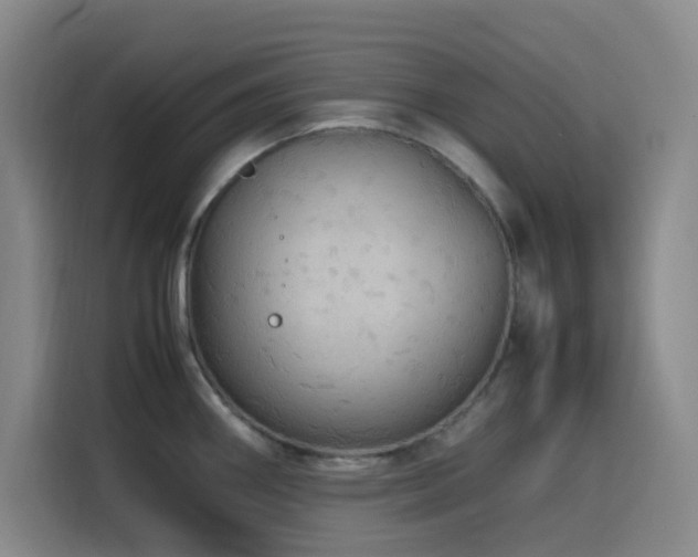 X0000116121290200911231207