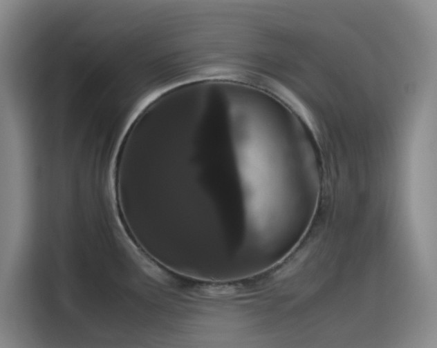 X0000116121291200911231207