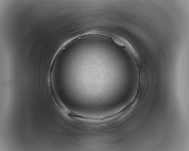 X0000116121292200911231207