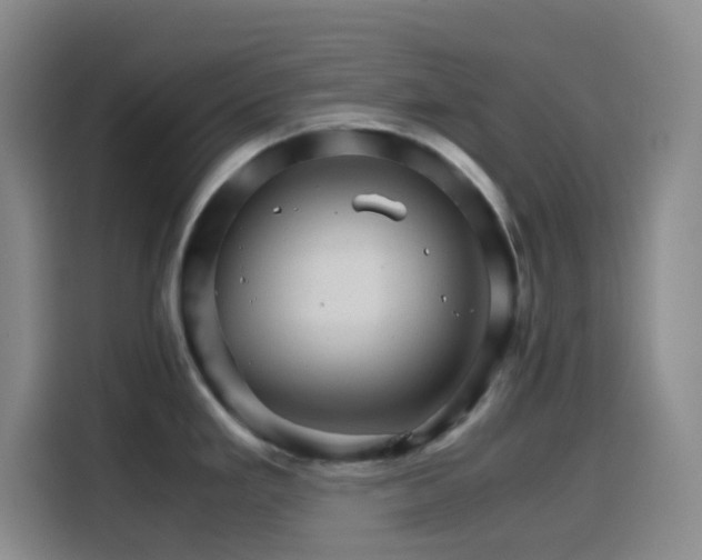 X0000116121293200911231207