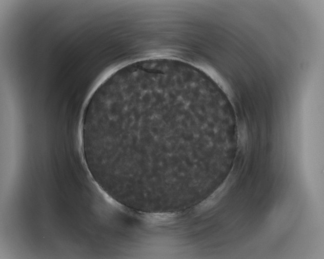 X0000116121294200911231207