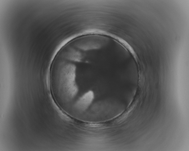 X0000116121295200911231207