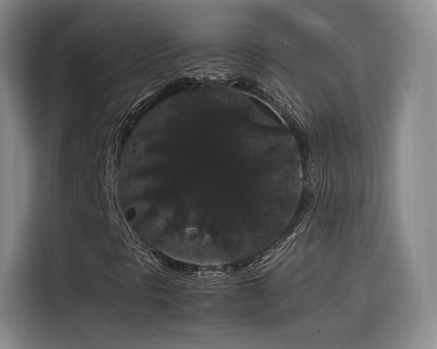 X0000116121297200911231207