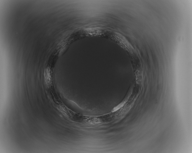 X0000116121298200911231207