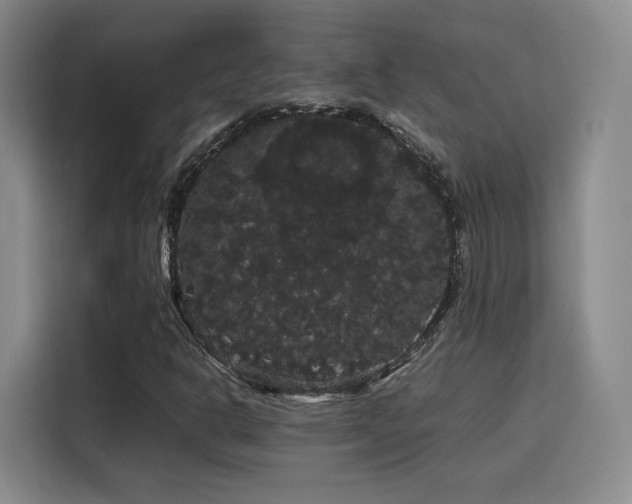 X0000116121302200911231207