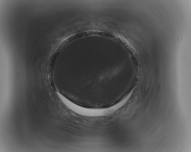 X0000116121303200911231207