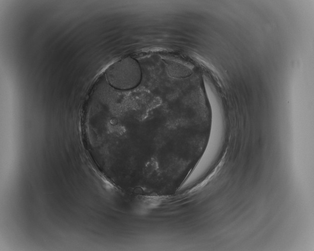 X0000116121305200911231207