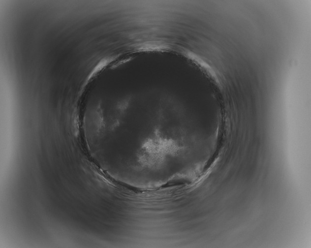 X0000116121306200911231207