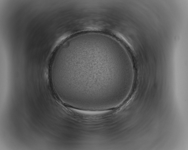 X0000116121307200911231207