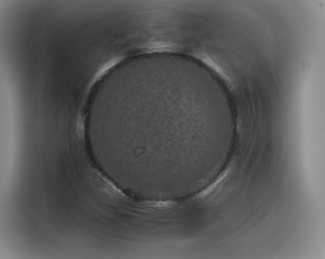 X0000116121309200911231207