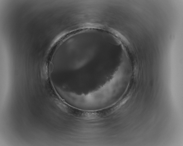 X0000116121310200911231207