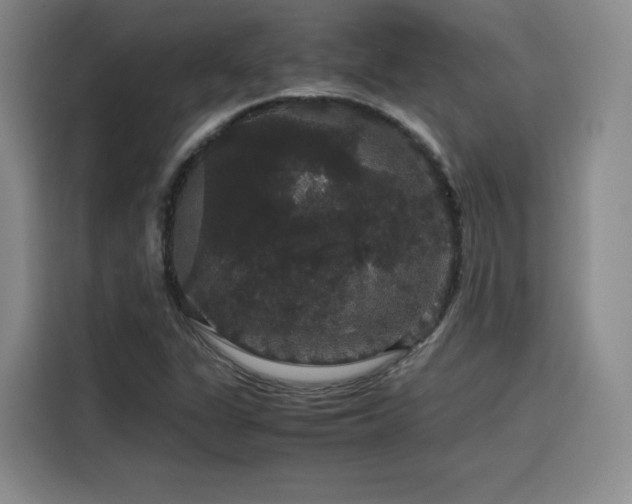 X0000116121311200911231207