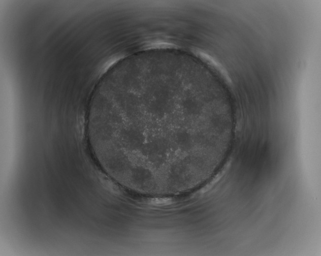 X0000116121313200911231207