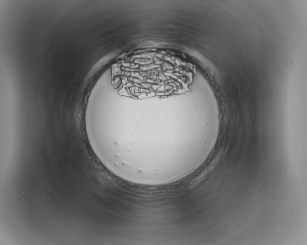 X0000116121314200911231207