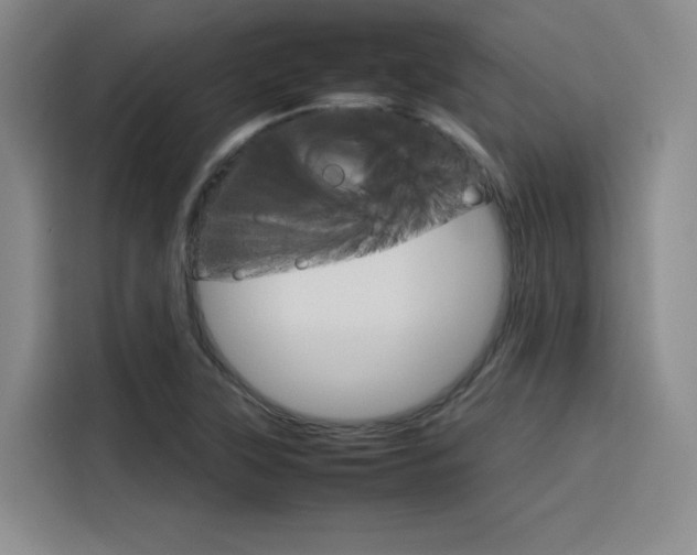 X0000116121315200911231207