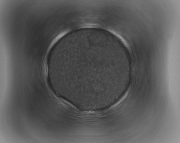 X0000116121317200911231207