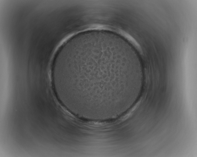 X0000116121318200911231207