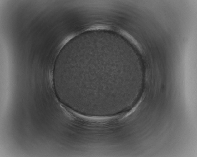 X0000116121321200911231207