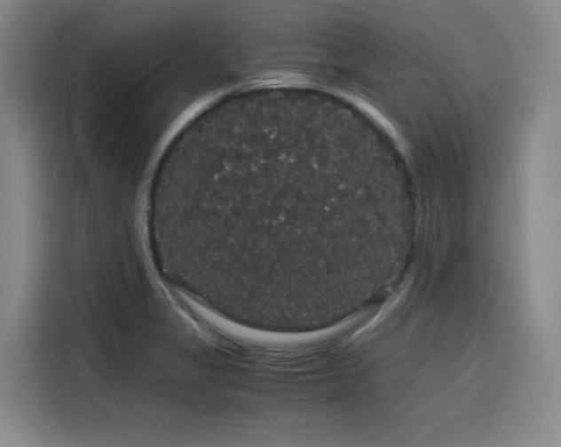 X0000116121325200911231207