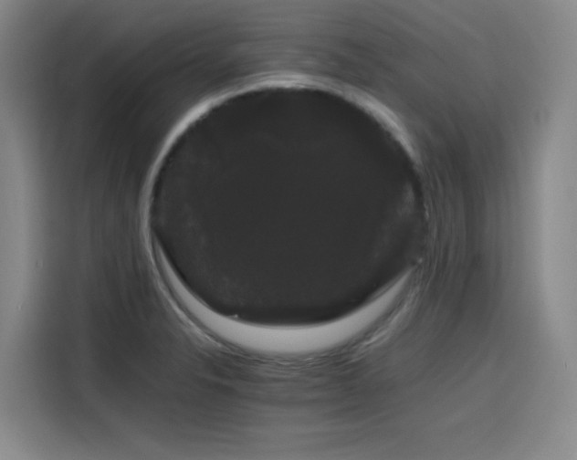 X0000116121326200911231207