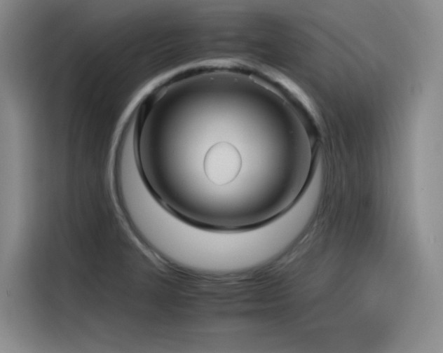 X0000116121327200911231207