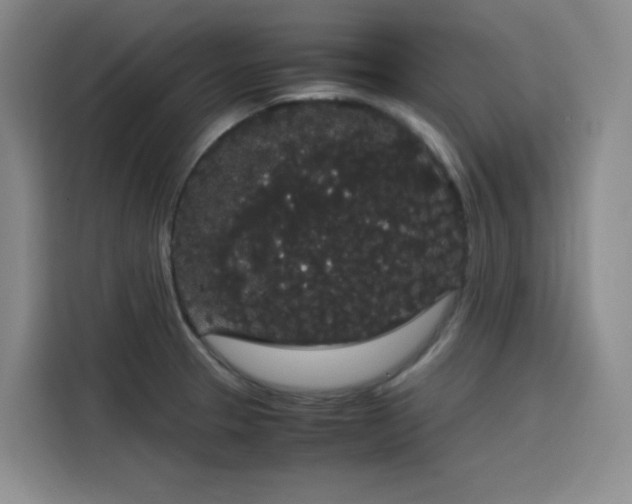 X0000116121329200911231207