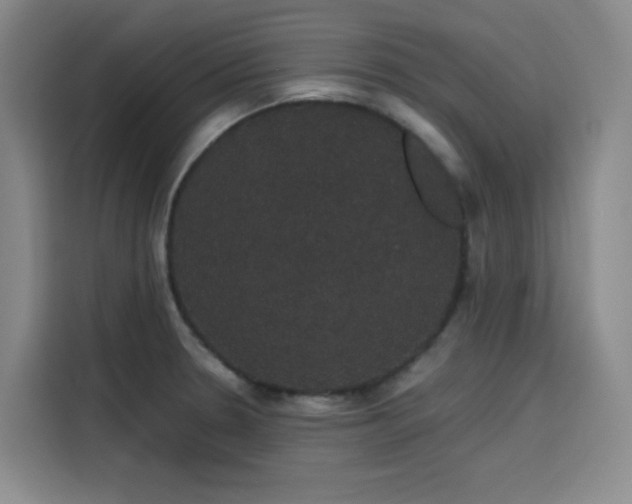 X0000116121330200911231207