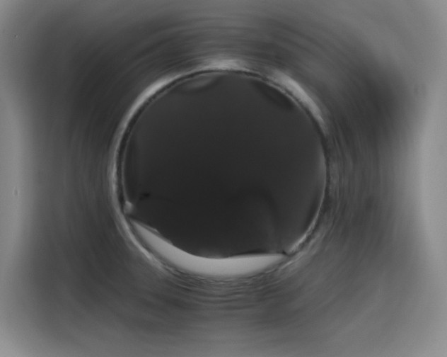 X0000116121331200911231207